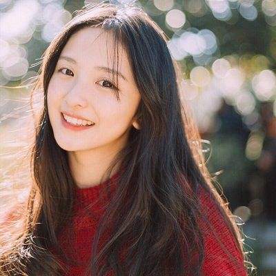 幕府野望破解版下载